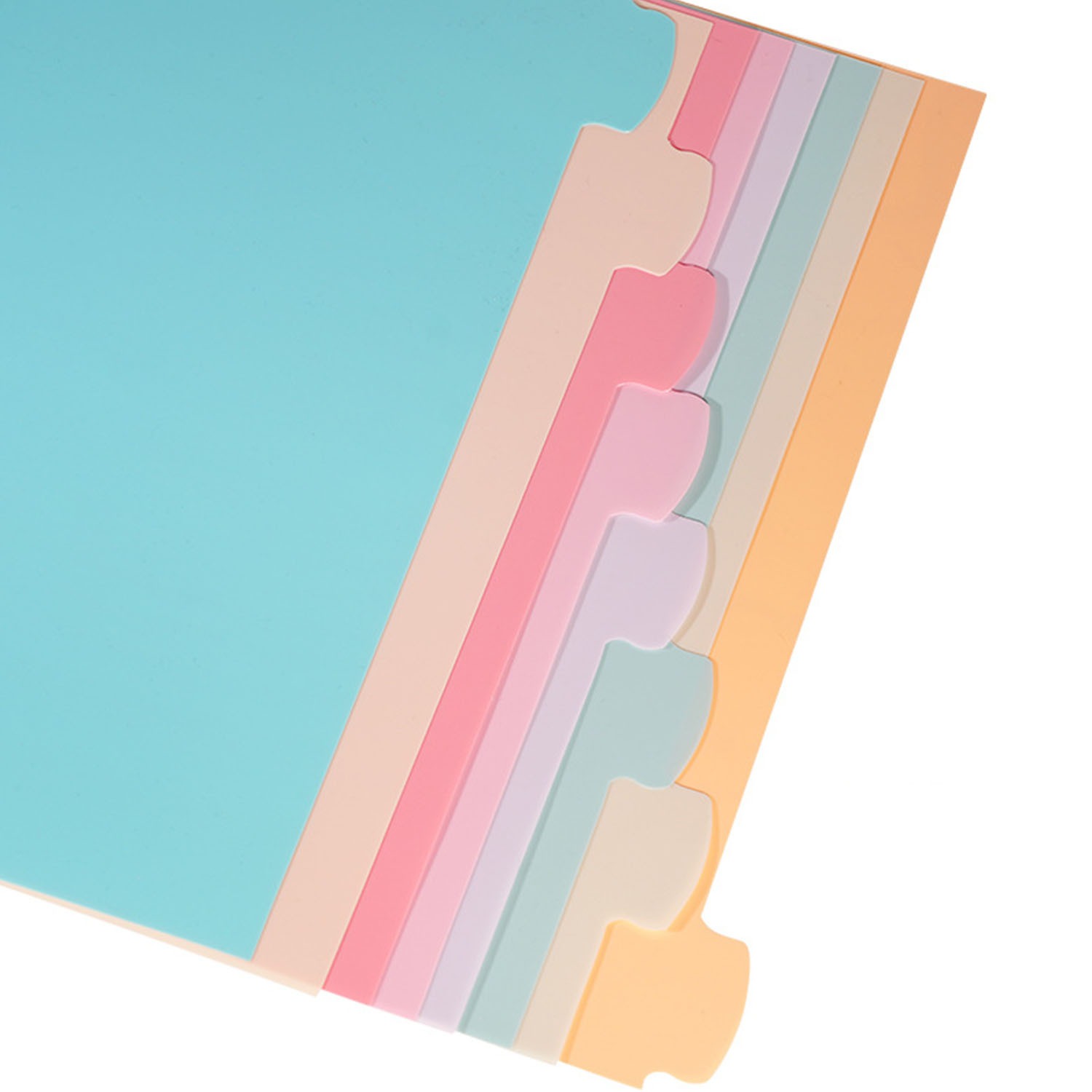 แผ่นแบ่งสมุดบันทึก 8 แผ่น สำหร - Index Tab Divider บทวิจารณ์และราคา